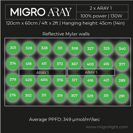 Migro aray 1