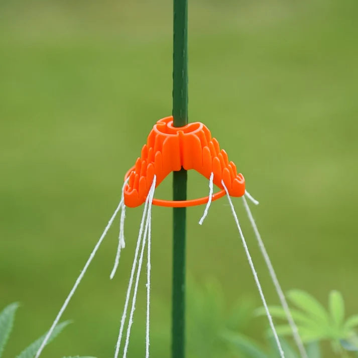 Stringy-Thingy - Pack of 5 Plant Support