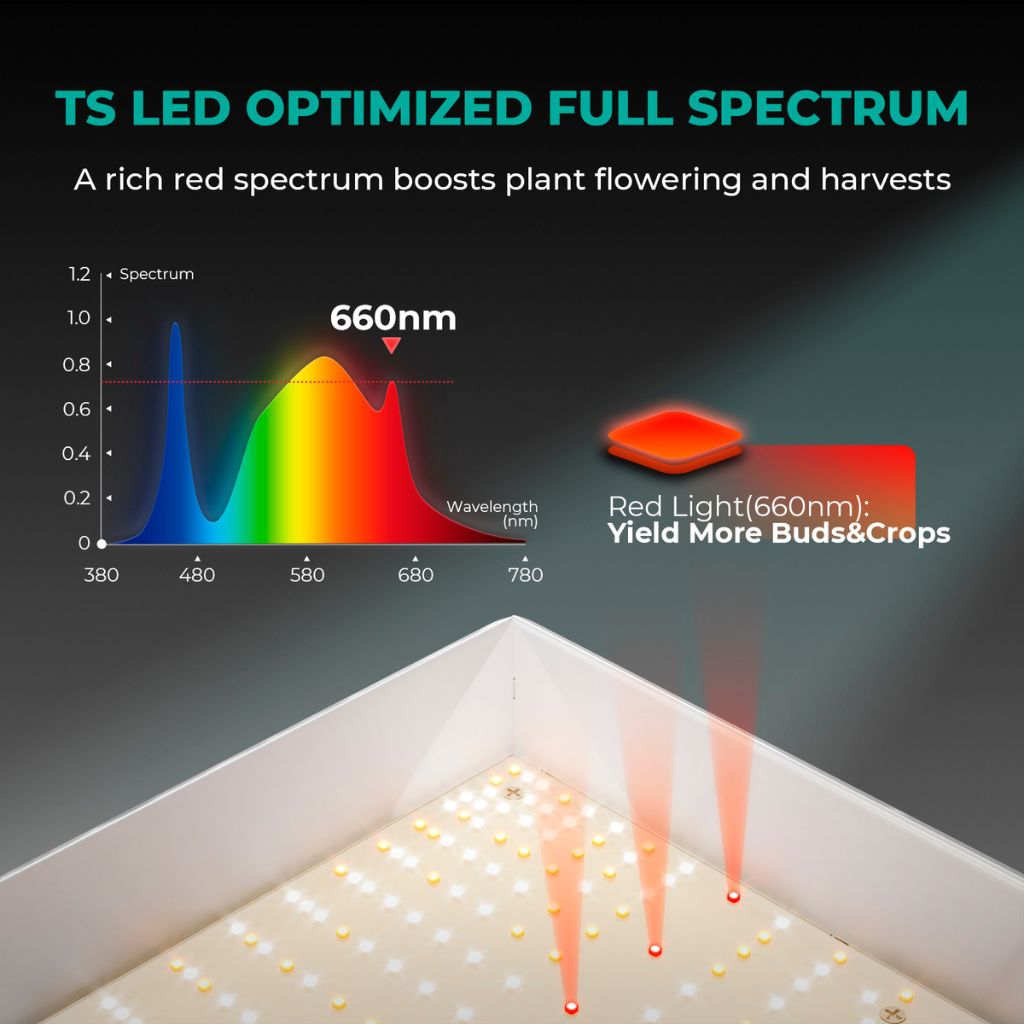 Mars Hydro TS-1000 150w LED Grow Light