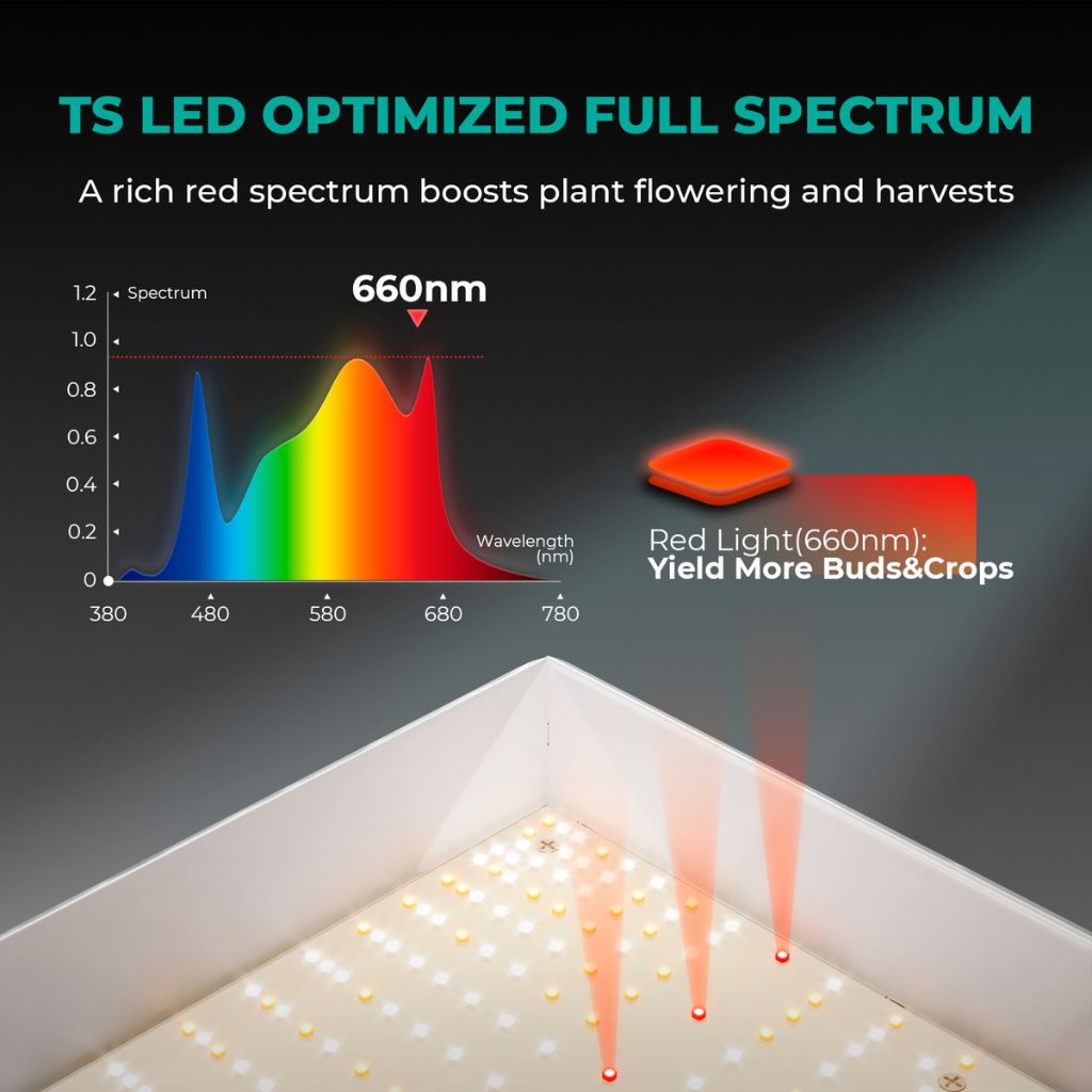 Mars Hydro TS-2000 300w LED Grow Light