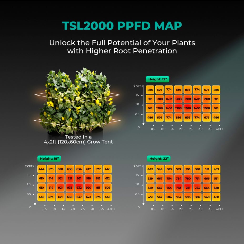 Mars Hydro TSL-2000 300w LED Grow Light