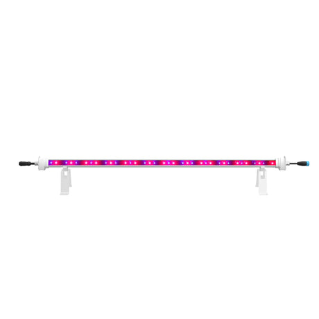 MaxiLED Under-Canopy LED Grow Light 2 x 120W