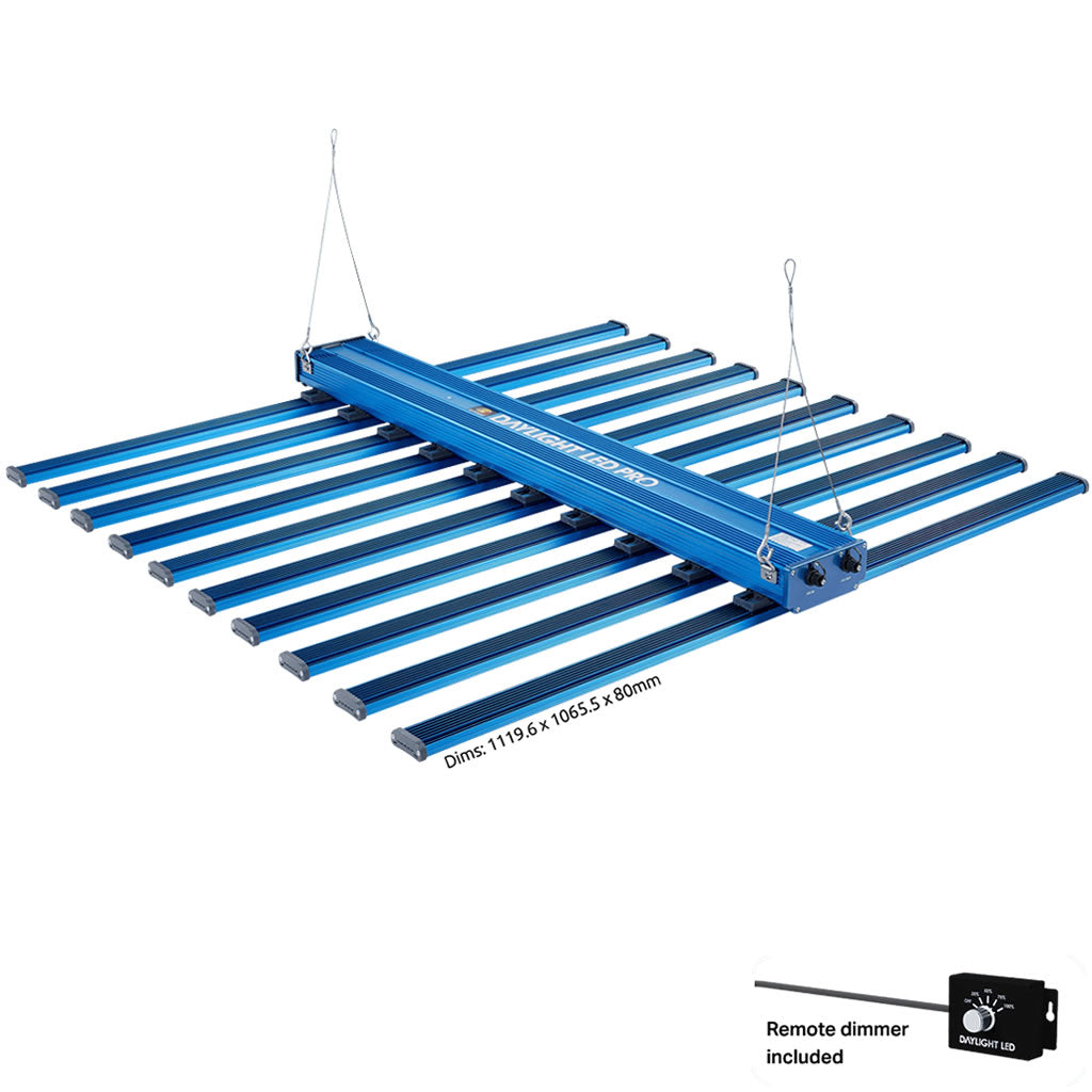 Maxibright Daylight LED 1030W 2.3