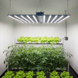 Maxibright Daylight LED 1030W 2.3