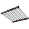 LED Grow Lights