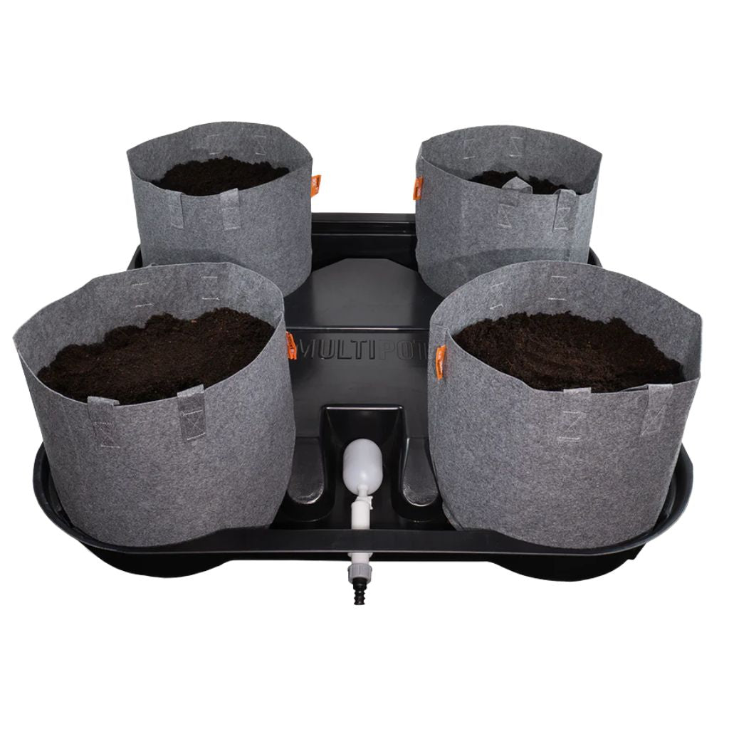 MegaPot MultiPot- 4 Pot System