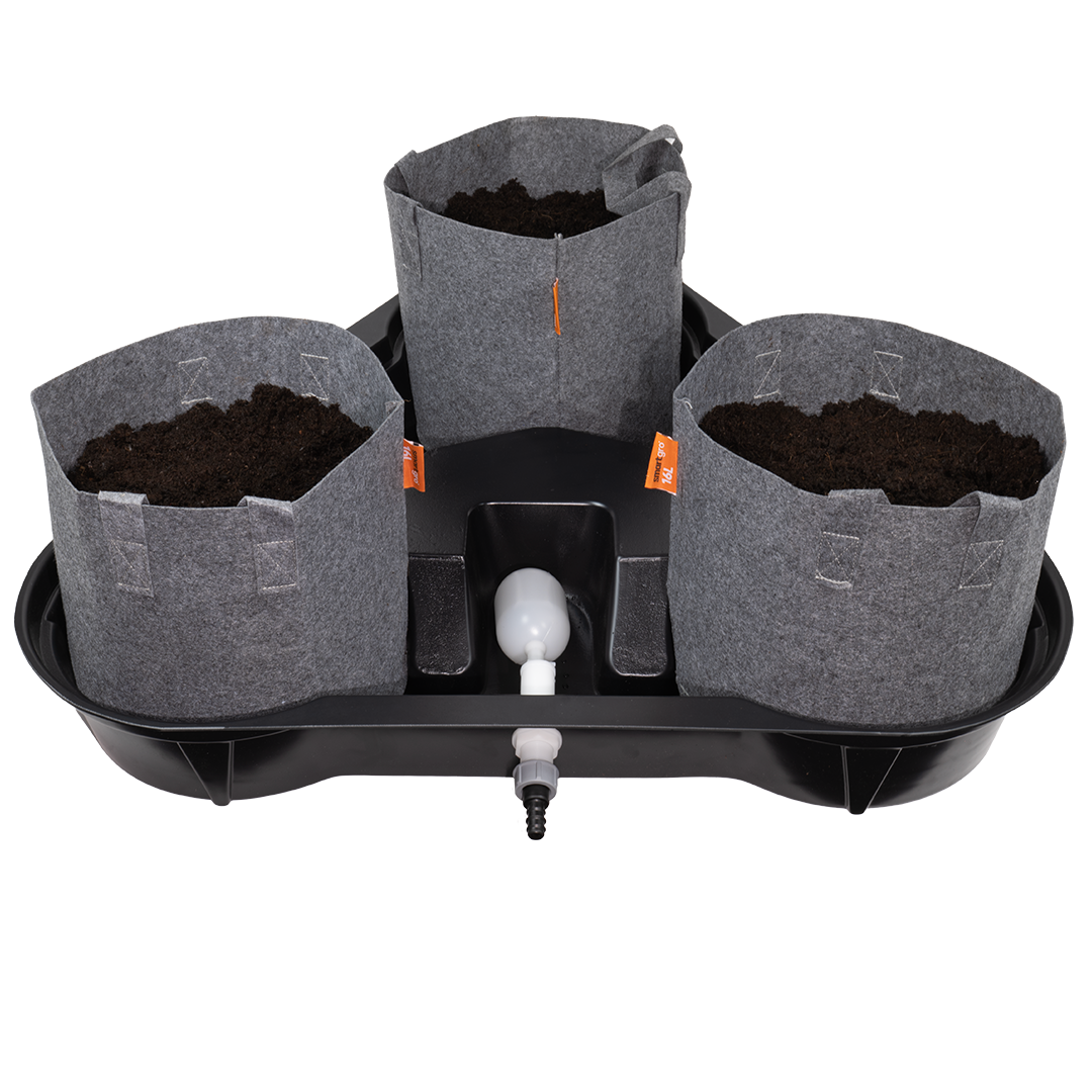 MegaPot MultiPot 3 Pot System