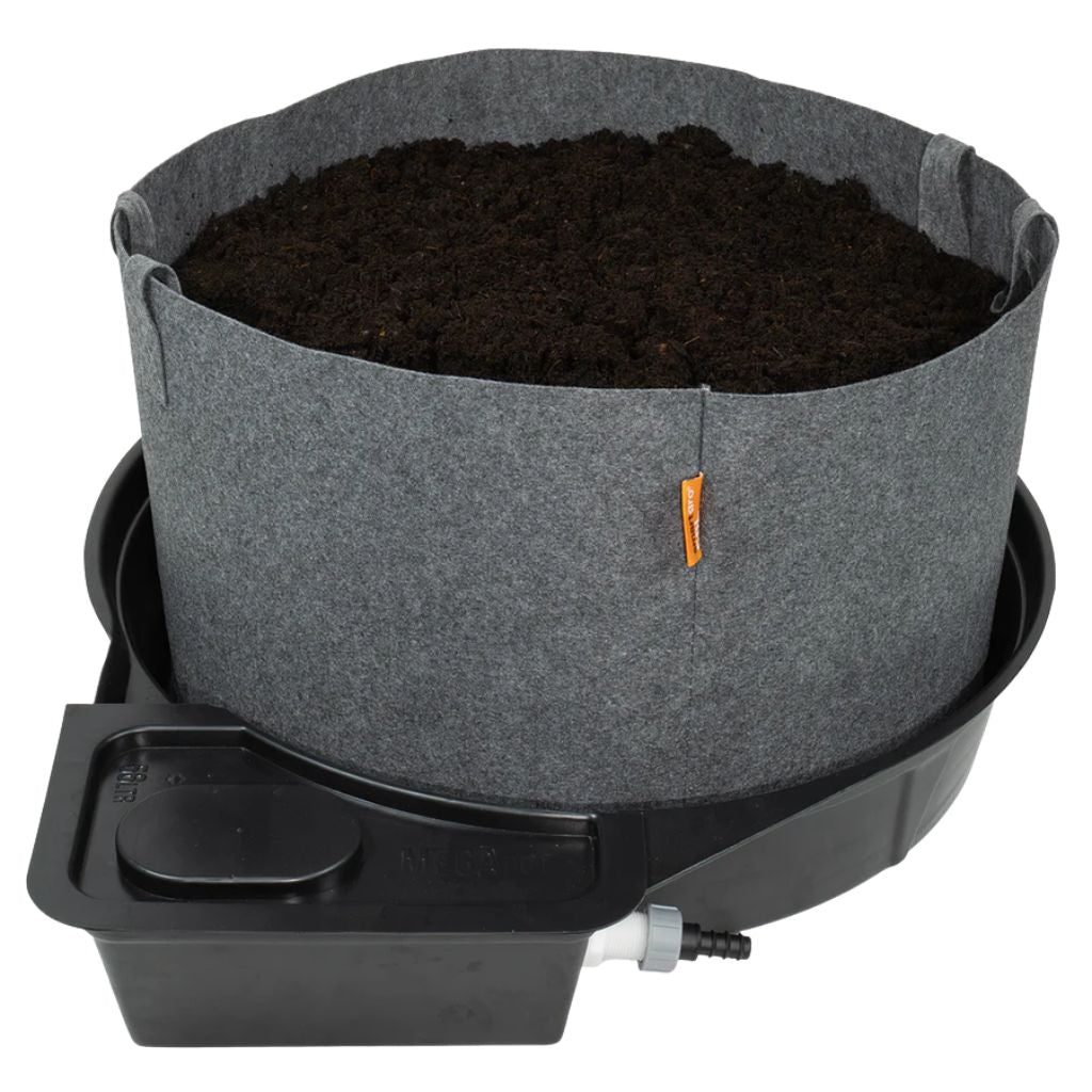 MegaPot Single Pot