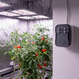 A wall-mounted Mission Control DigiStep Temperature Controller with four knobs and two UK sockets, shown next to a tomato plant inside a home grow kit with LED lights.