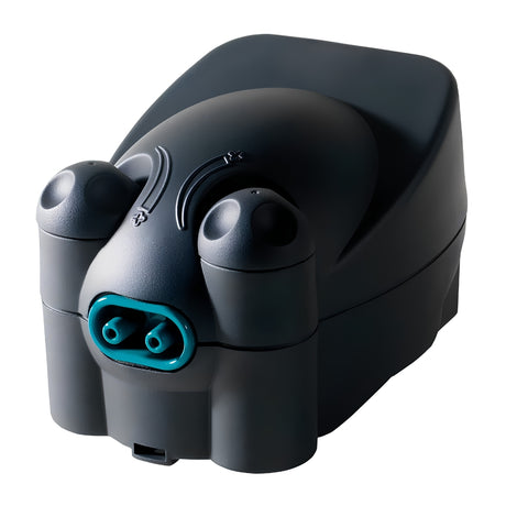 Newa wind air pump twin