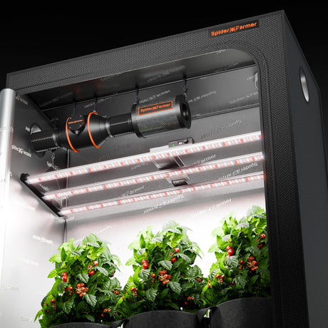 Spider Farmer indoor gardening system with plants growing inside