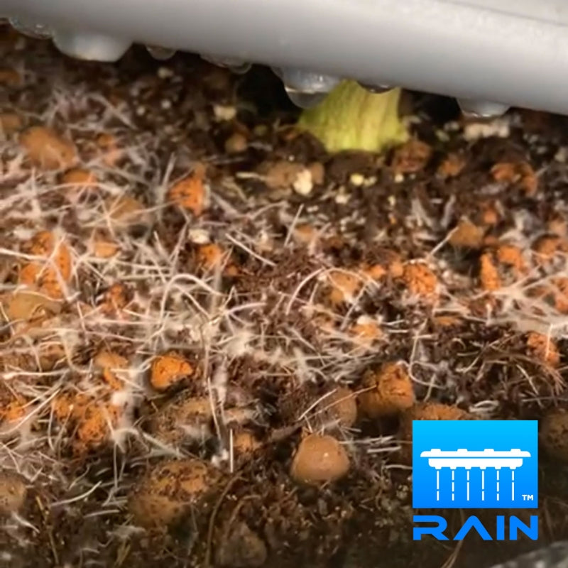 Alien® Rain™ 15L Pro Silver Serie