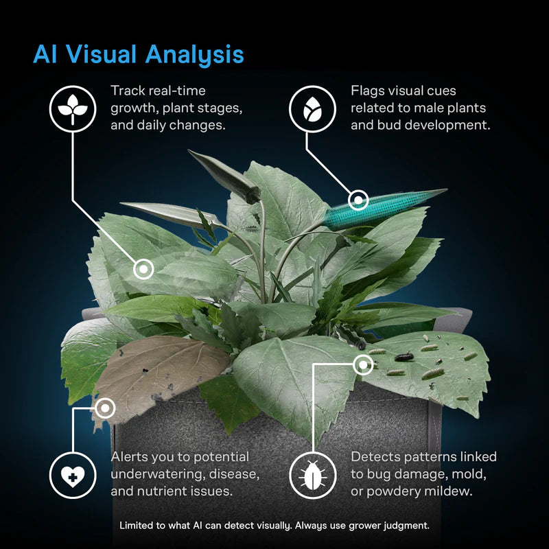 Potted plant with AI analysis features highlighted on a dark background