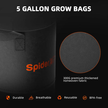 Black grow bag with SpiderWeb branding on a dark background
