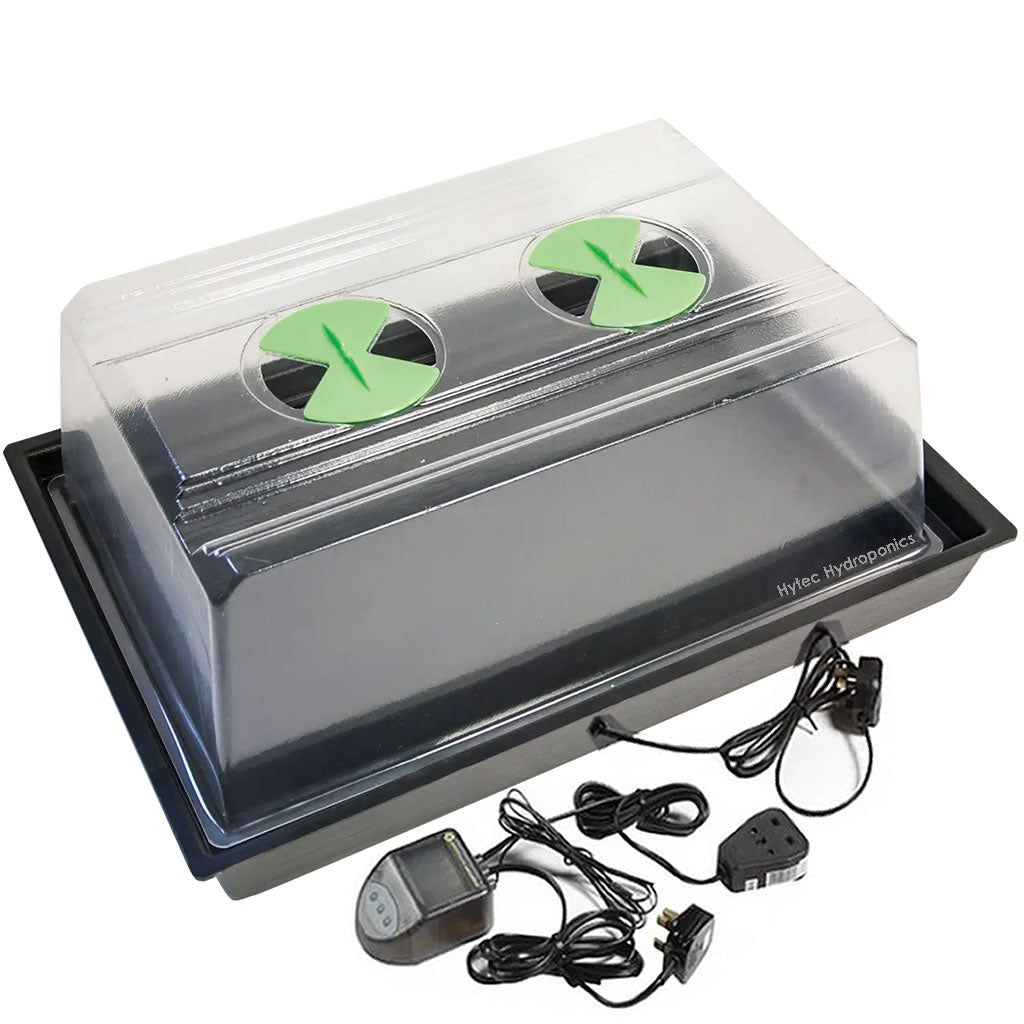 X-Stream Heat Small Propagator