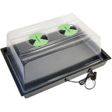 X-Stream Heat Small Propagator