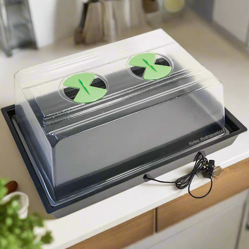 X-Stream Heat Small Propagator