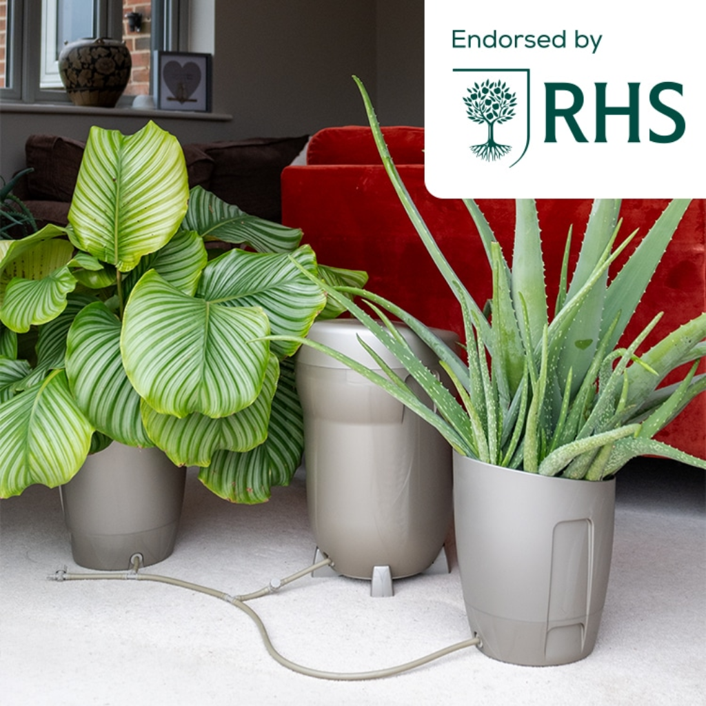 Autopot Khloris Watering System