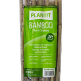 Bamboo Canes Pack of 25