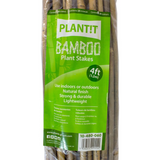 bamboo canes 3ft 4ft 5ft hydroponics