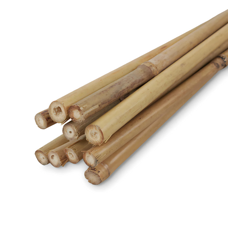 bamboo canes 3ft 4ft 5ft hydroponics