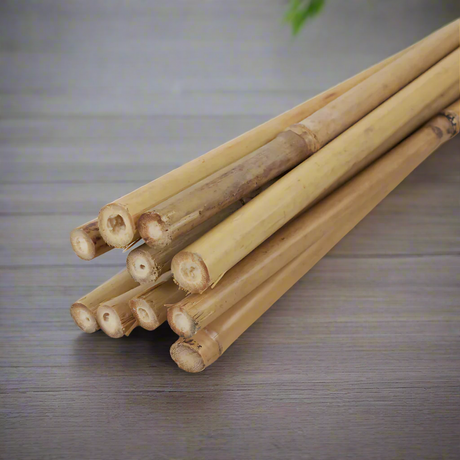 bamboo canes 3ft 4ft 5ft hydroponics