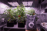 Biobizz All-Mix | 50L & 90L