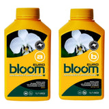 Bloom Yellow Bottles - Euro A&B | Complete Base Feed