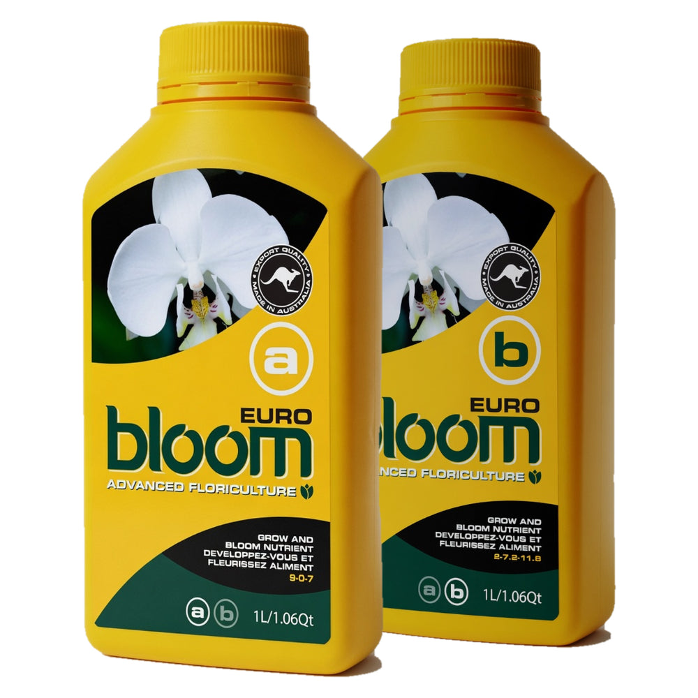 Bloom Yellow Bottles - Euro A&B | Complete Base Feed