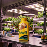 bloom yellow bottles ooze in horticultural facility