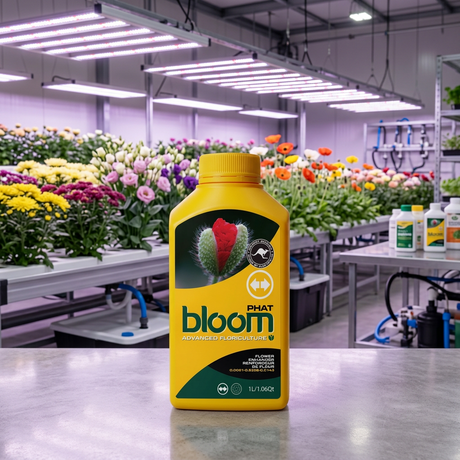 bloom yellow bottles phat 1L in a hydroponic flowering facility