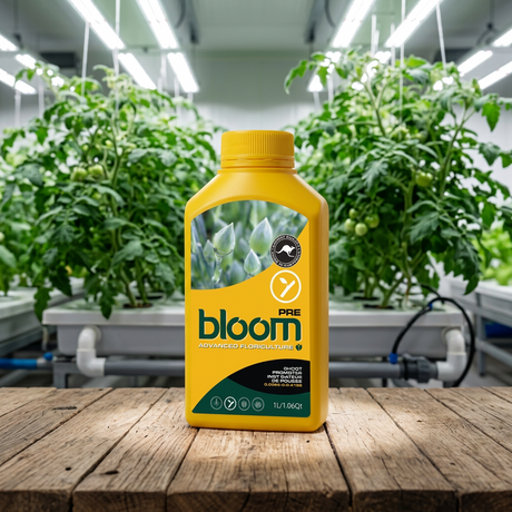 A yellow bottle of bloom Pre Liquid Plant Food fertilizer stands on a rustic wooden table in a greenhouse setting with tomato plants growing under bright hanging lights in the background.