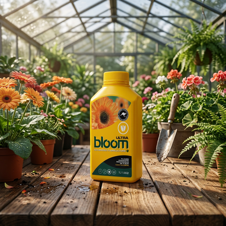 A yellow bottle of Bloom Ultra flower fertilizer stands on a wooden table inside a greenhouse, surrounded by potted flowers, ferns, gardening tools, and bright natural light filtering through the glass.