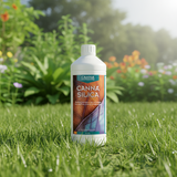 Canna PK 13/14 