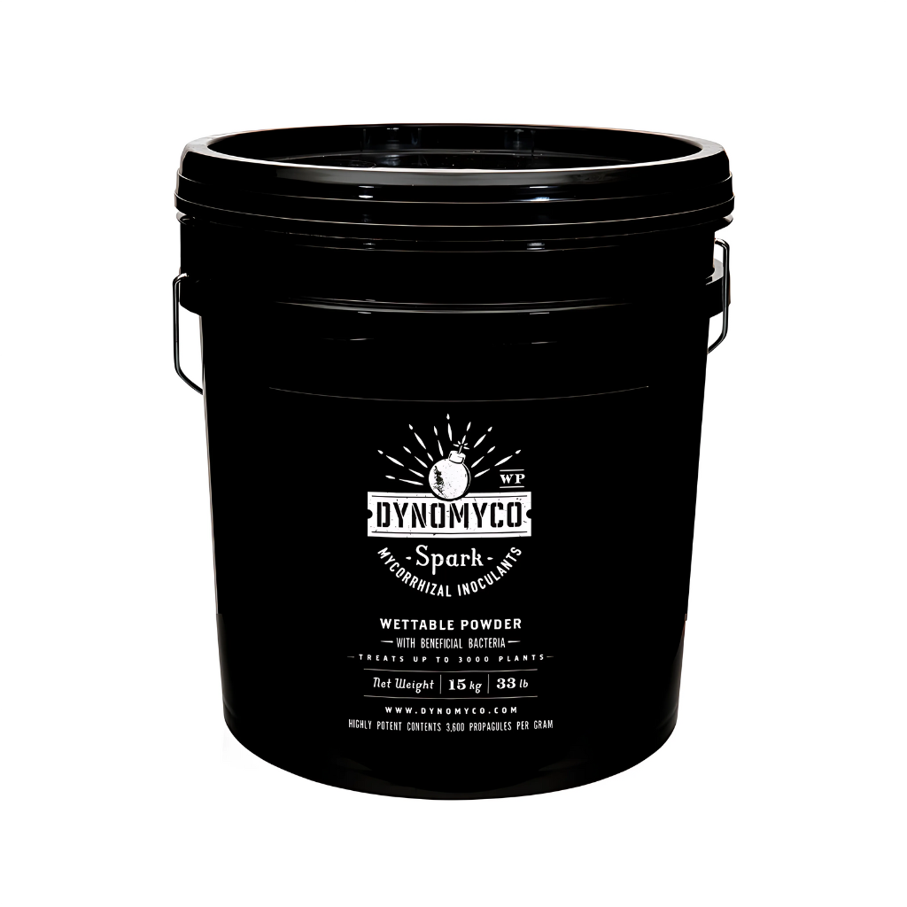 Dynomyco Spark 3-in-1 Powder