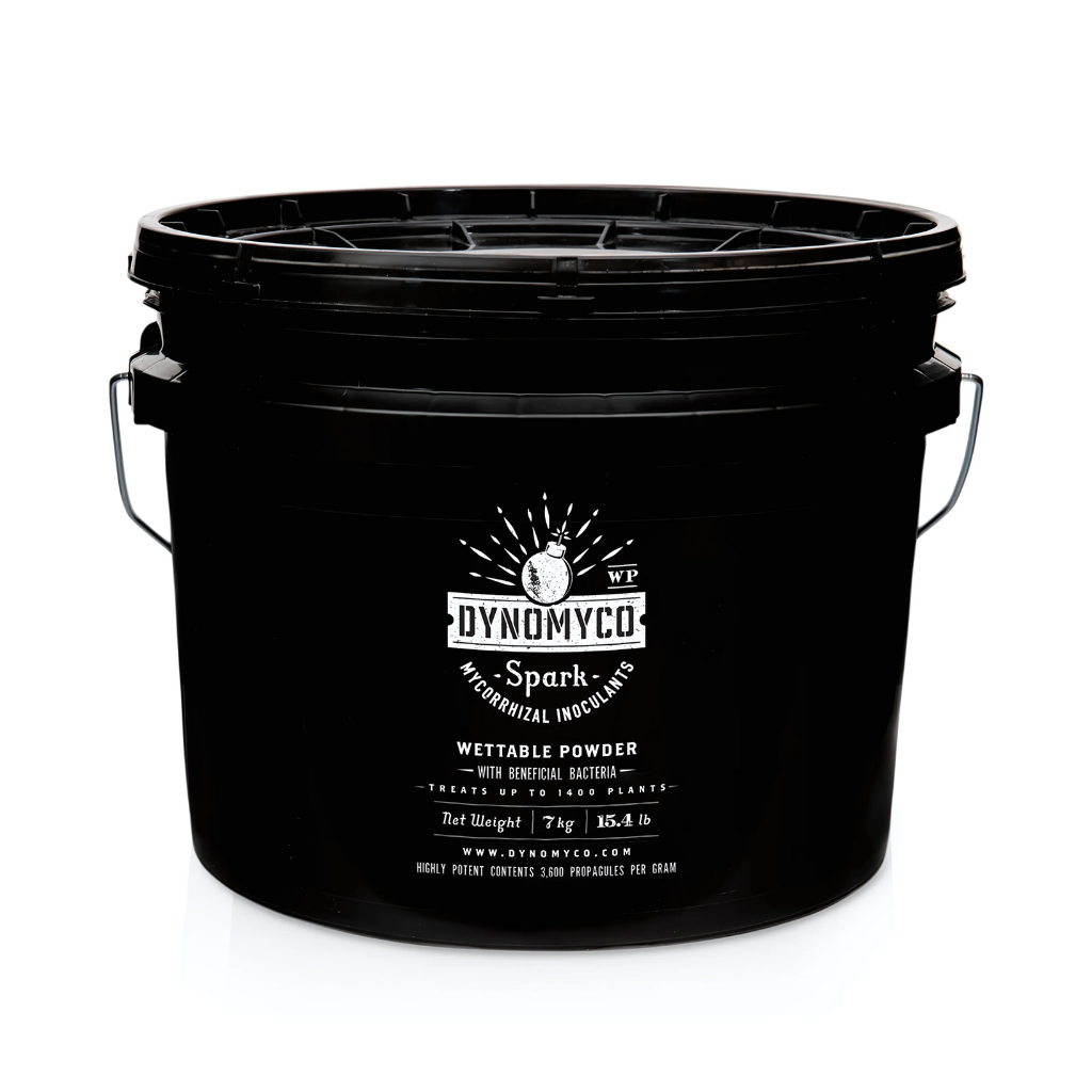 Dynomyco Spark 3-in-1 Powder