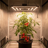 Elite 300w LED Grow Light 2.7