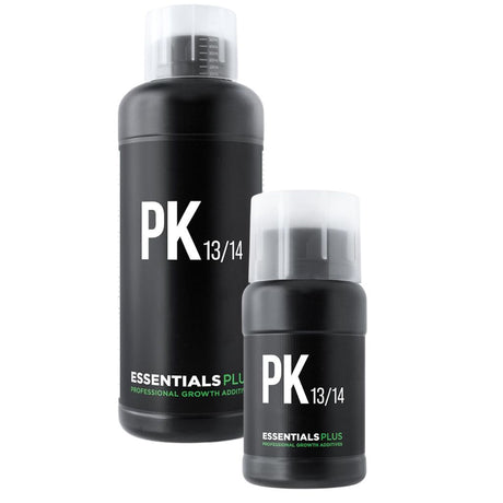 Essentials PK 13/14