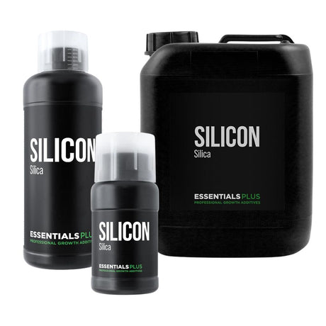Essentials Silicon