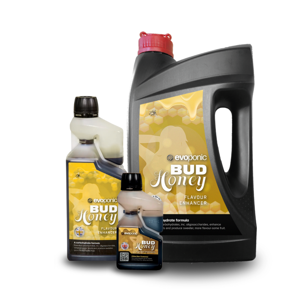 Evoponic Bud Honey