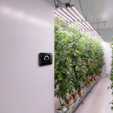 Faven Chroma CX2 Controller