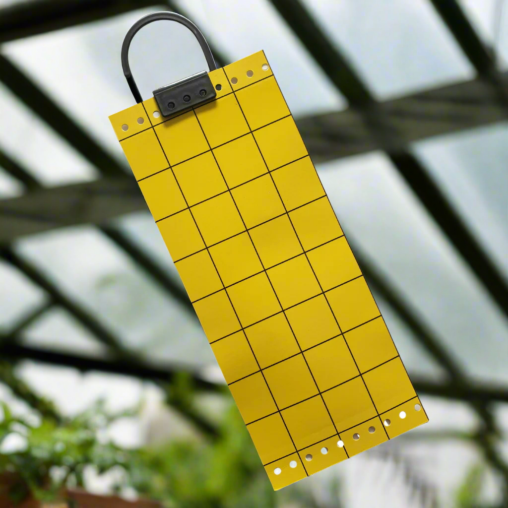 Guard'n'Aid Yellow Sticky Traps bug catcher funus gnats