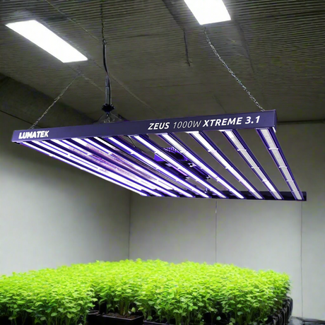 Lumatek Zeus 1000w Xtreme 3.1 LED Grow Light