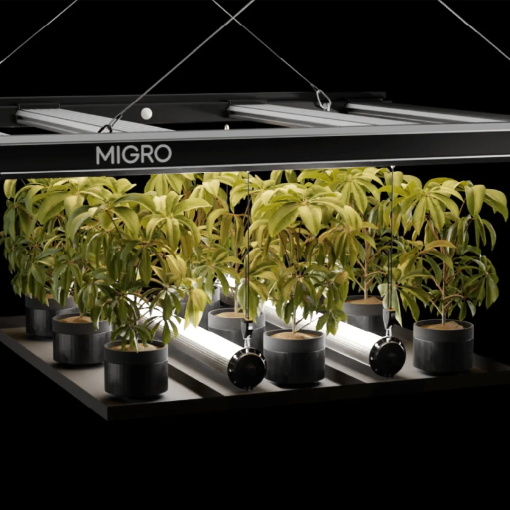 Migro Aray Intra 160 LED Grow Light