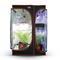 Complete Grow Kits