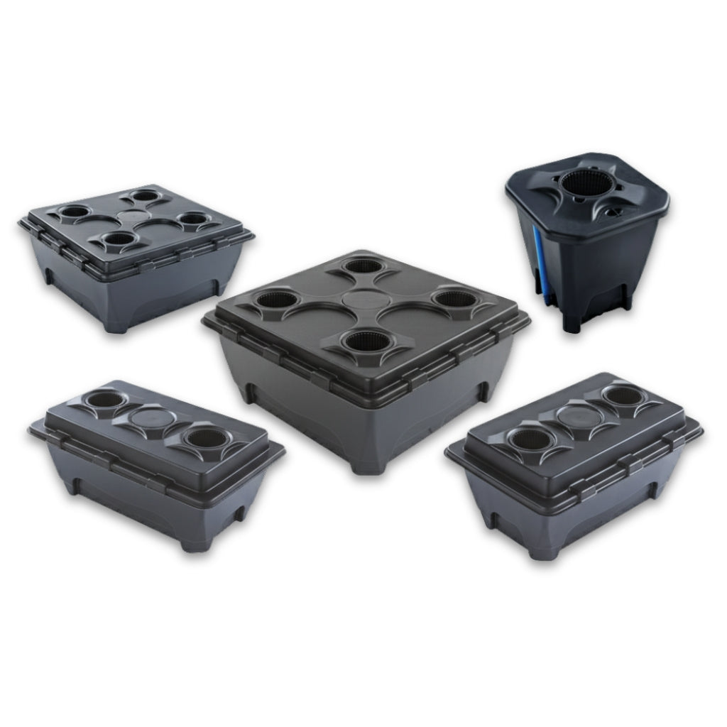 Oxypot DWC Systems