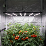 Photon 720w LED Grow Light 3.2