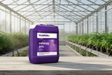Plagron CalMag Pro - 5L
