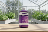 Plagron Start Up