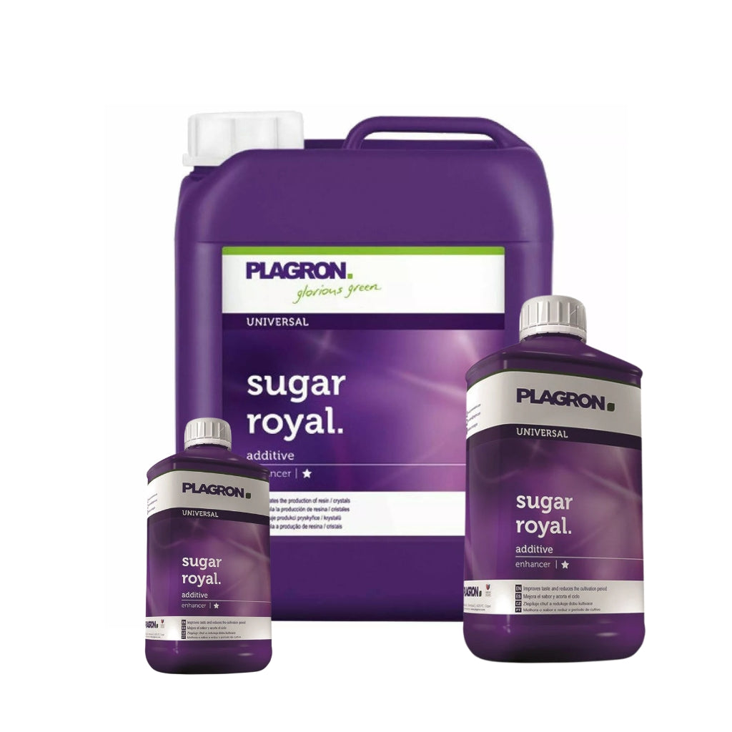 Plagron Sugar Royal